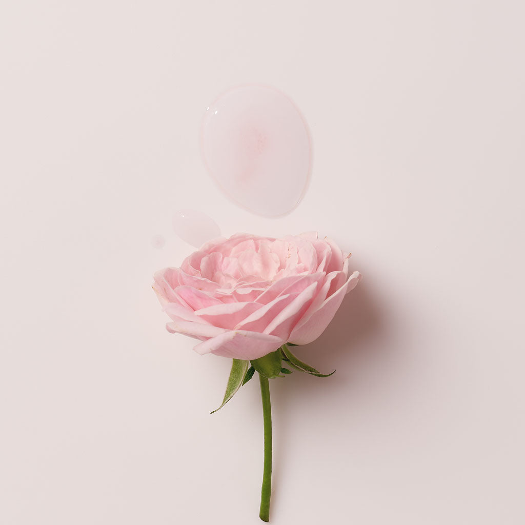 SIORIS Falling Into the Rose Mist
